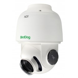 BirdDog A200 - PTZ Камера