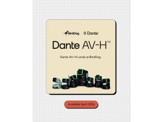 BirdDog и Dante AV-H: новая эра унифицированных AV-over-IP рабочих процессов