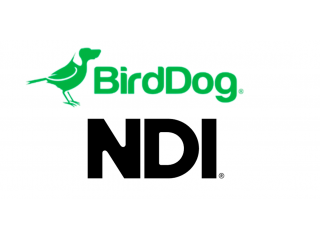 BirdDog обеспечивает полную совместимость с NDI 6.3 во всей линейке продуктов
